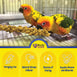 Birds LOVE Economy & Thin Special Spray Millet GMO-Free No Pesticides (No Stems Only Edible Tops) for Birds Cockatiel Lovebird Parakeet Finch Canary All Parrots Healthy Treat - 7oz