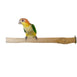 Birds LOVE Bottlebrush Wood Bird Cage Perch - Medium