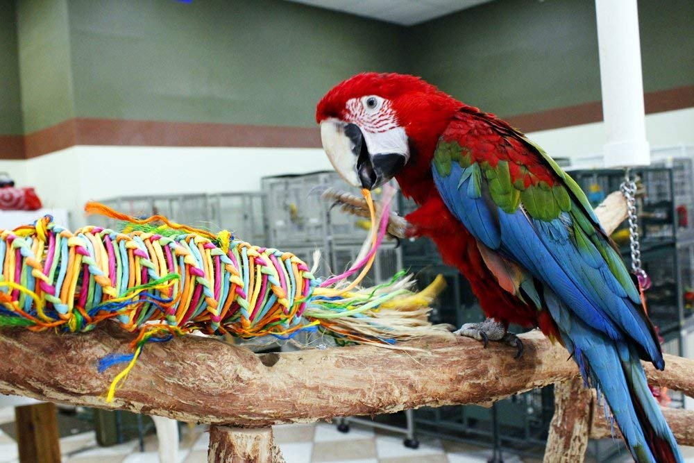 Birds LOVE Large Parrot Cage Toy Twisted Paper Hanging Chew Tornado Cockatoo