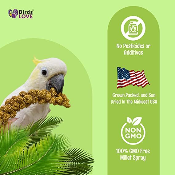 Nemeth Farms–Natural Sun Dried Millet Spray for Pet Birds–Bul2k Parrot Seed Treats and Parrot Food–Natural Non GMO Millet Spray–Cockatiels Lovebirds Parakeet 2 lbs.