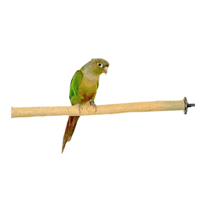 BIRDS LOVE  Bottlebrush Wood Bird Cage Perch - Small —