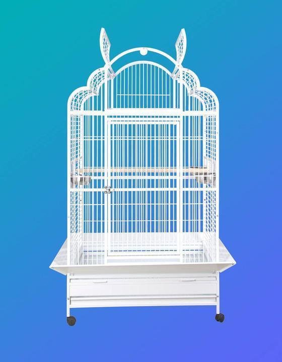 HQ 40x32x73 Arch Victorian Top Bird Cage - Platinum White