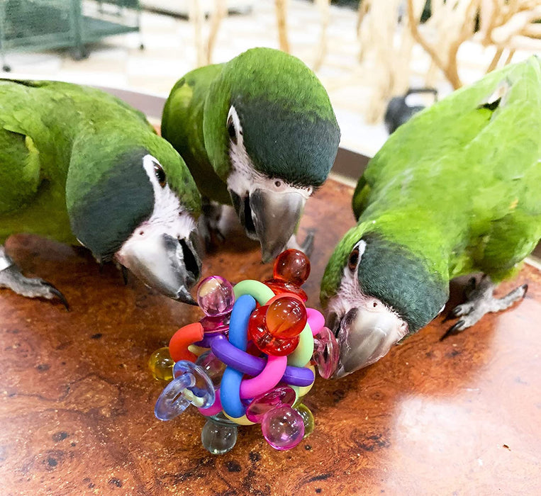 Birds LOVE Parrot Foot Toys, Pacifiers, Nuts n Bolts, Stars Ball, Popsicles, Physical and Mental Exercise, Interactive Play