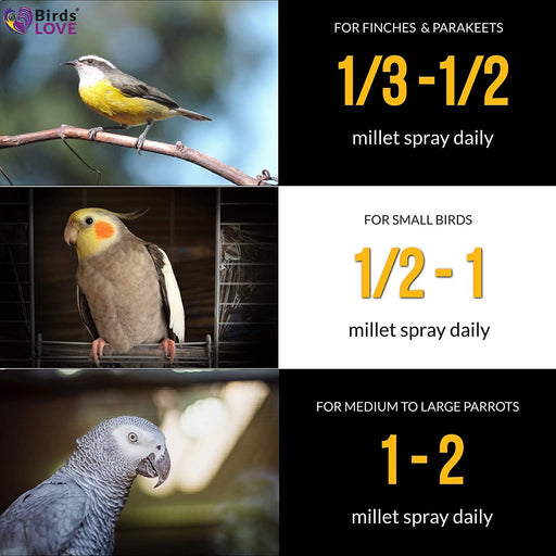 Birds LOVE Spray Millet for Cockatiel, Lovebird, Parakeet, Finch, Canary, All Parrots - Healthy Treat