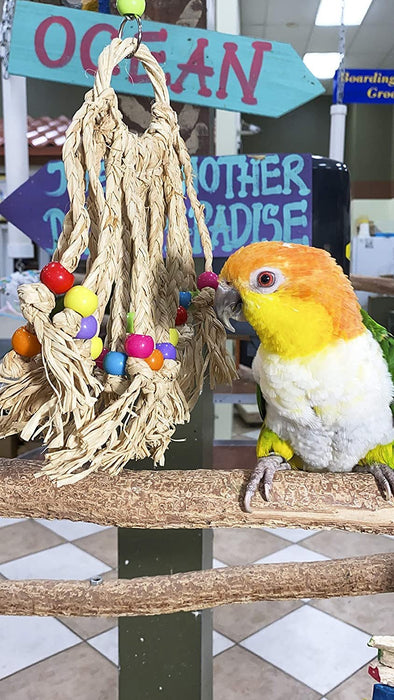 Birds LOVE Parrot Dream Catcher, Cage or Playgym, Chewing, Biting and Hanging Bird Toy for Small to Medium Parrots